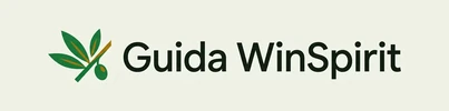 It-win-spirit.org